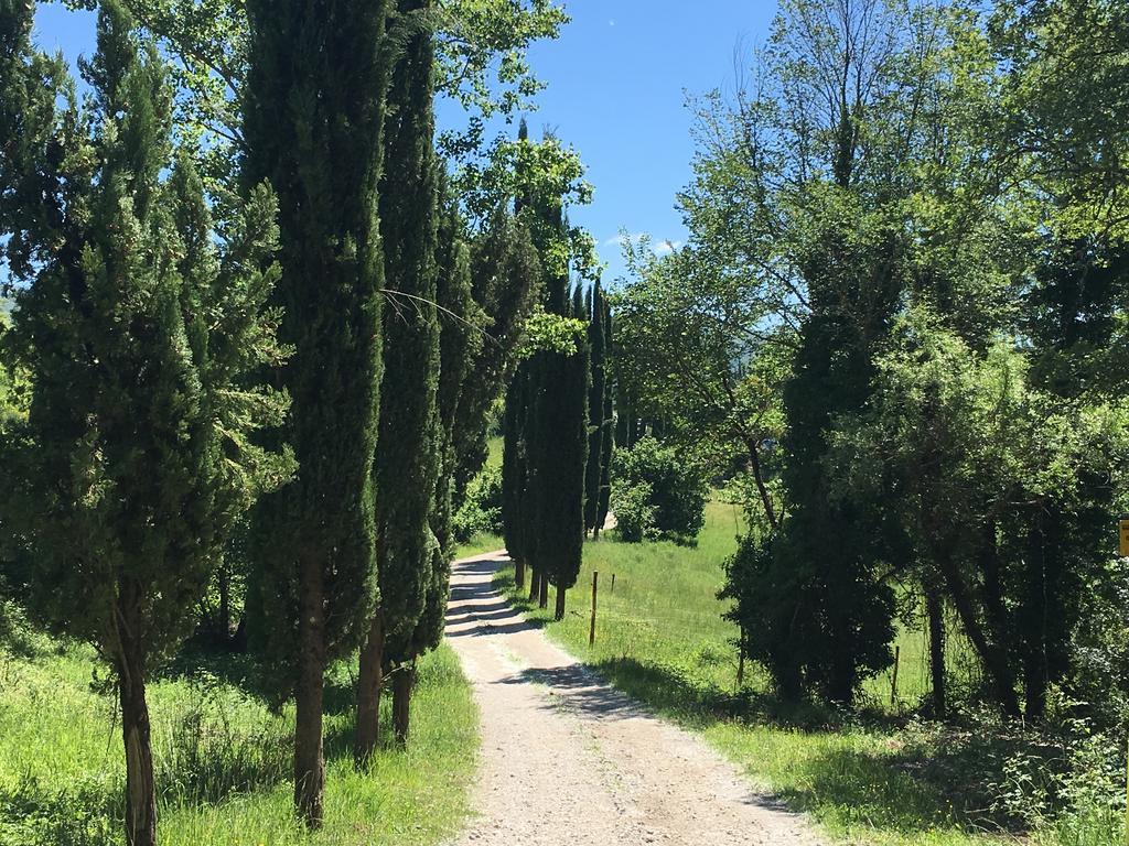 Podere Terreno Alla Via Della Volpaia Radda in Chianti Exterior foto